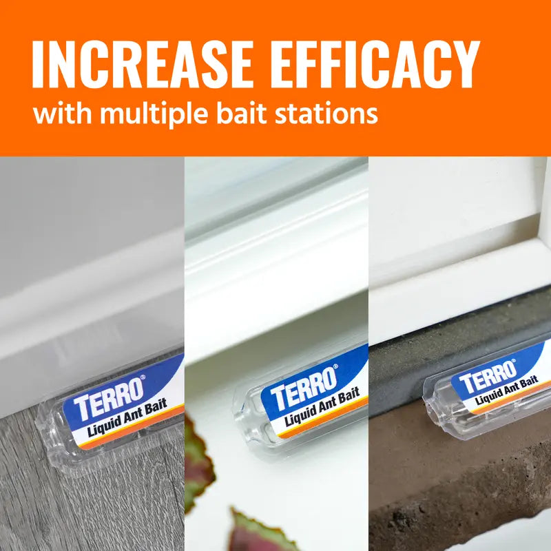 Indoor Liquid Ant Bait Stations – Kills the Entire Colony at the Source
