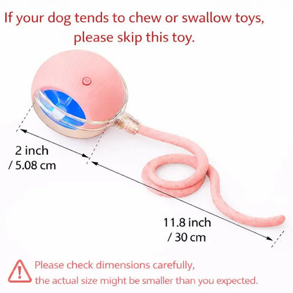 [🎁 BUY 1 GET 1 FREE] Smart Interactive Moving Cat Ball with LED Lights & Tail
