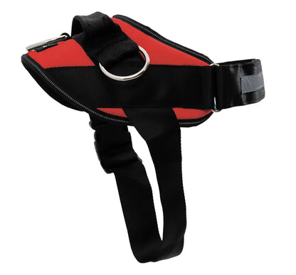 No-Pull Dog Harness with Side Leash Rings for Gentle Walk Control