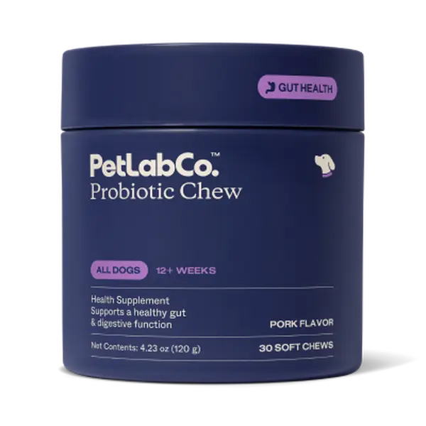 Advanced Probiotic Chews For Complete Canine Gut Health & Seasonal Allergy Relief