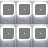 12‑Pack-Soft White