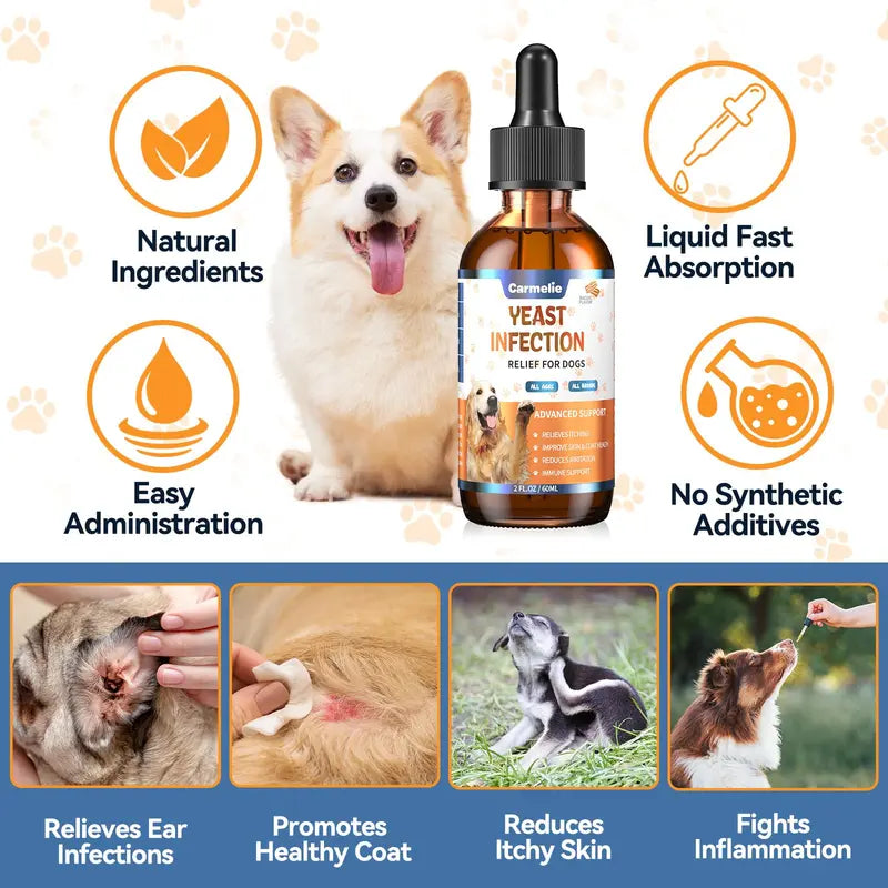 [🎁 BUY 1 GET 1 FREE] Advanced Natural Dog Yeast & Itch Relief Drops