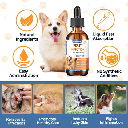 [🎁 BUY 1 GET 1 FREE] Advanced Natural Dog Yeast & Itch Relief Drops