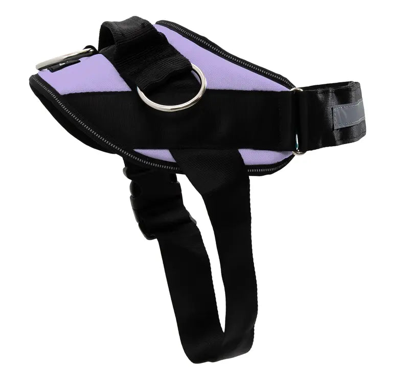 No-Pull Dog Harness with Side Leash Rings for Gentle Walk Control