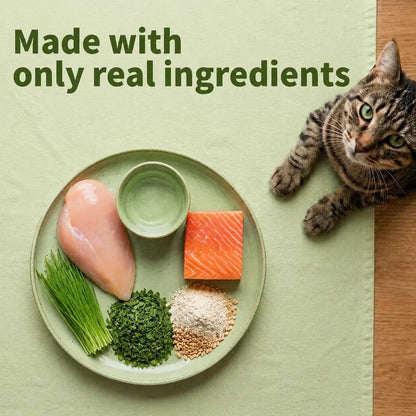 Natural Cat Grass Treats for Hairball Control & Digestive Health