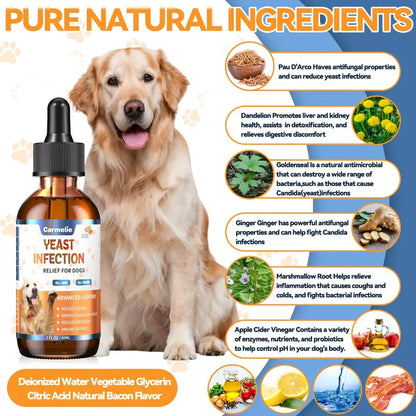 [🎁 BUY 1 GET 1 FREE] Advanced Natural Dog Yeast & Itch Relief Drops