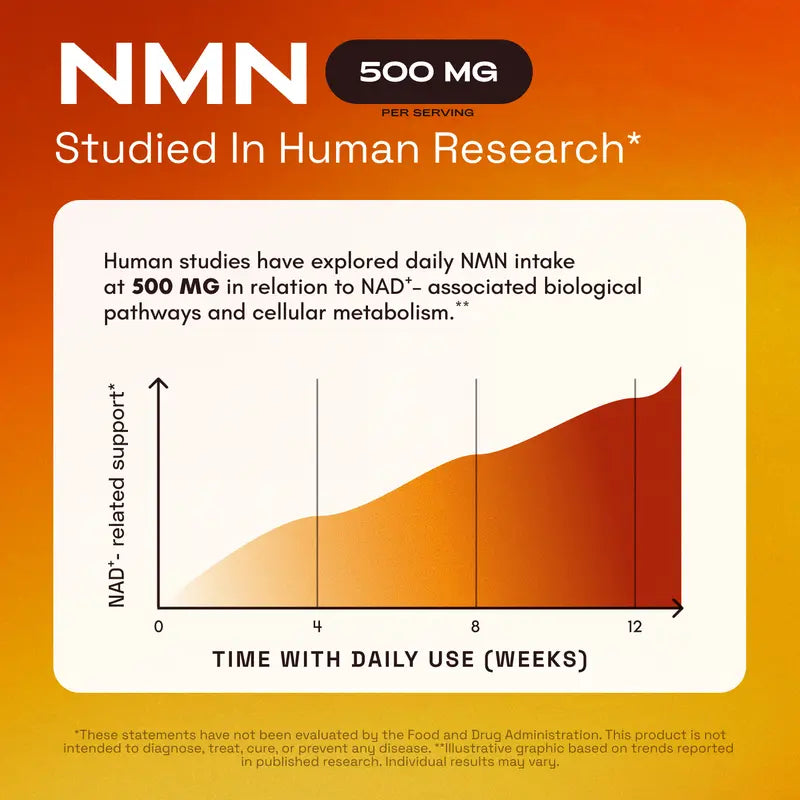 Boost NAD+ & Vitality Fast with Premium NMN 1000mg