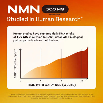 Boost NAD+ & Vitality Fast with Premium NMN 1000mg