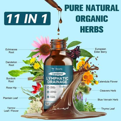 Liposomal Lymphatic Drainage Drops for Daily Immune Support & Detox