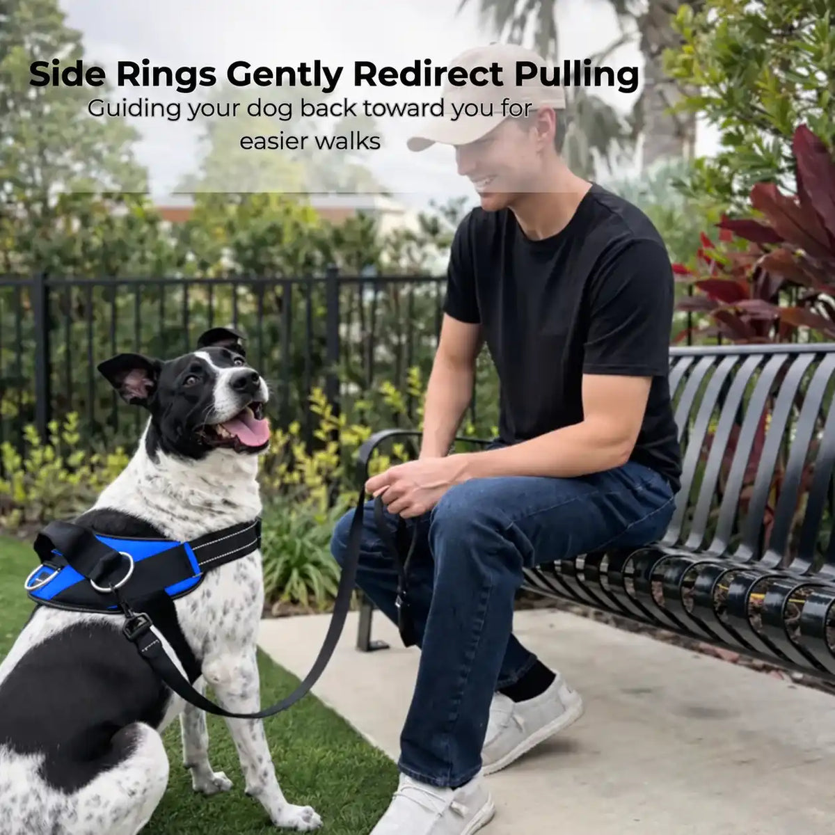 No-Pull Dog Harness with Side Leash Rings for Gentle Walk Control