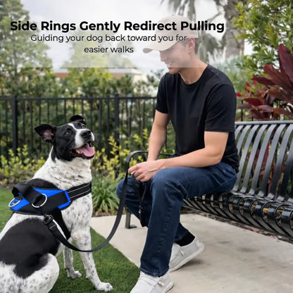 No-Pull Dog Harness with Side Leash Rings for Gentle Walk Control