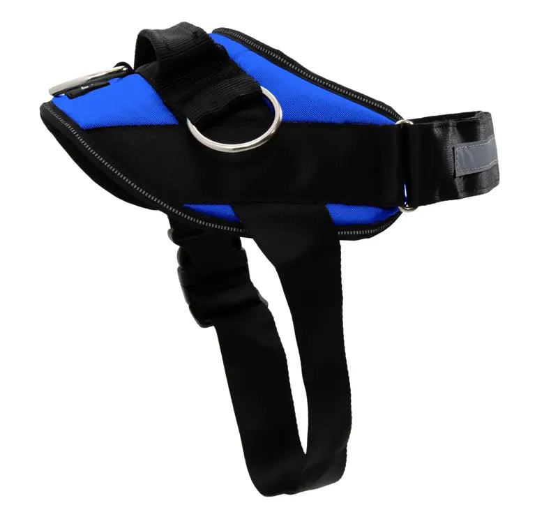 No-Pull Dog Harness with Side Leash Rings for Gentle Walk Control