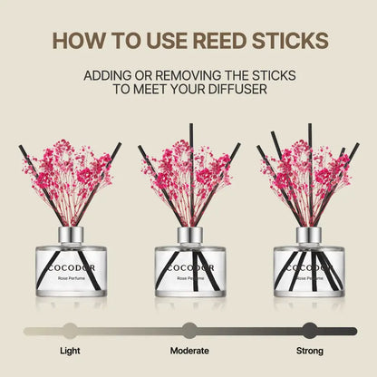 Long-Lasting Botanical Reed Diffuser with Real Preserved Flowers