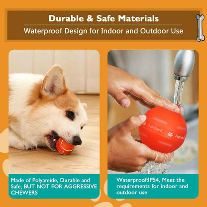Smart Interactive Motion-Activated Rolling Dog Ball Toy