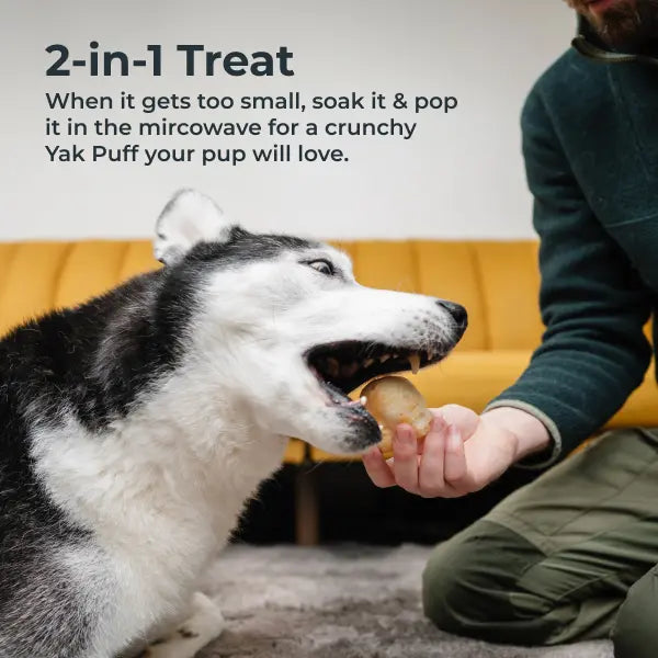 Ultimate Himalayan Yak Cheese Chews - 100% Natural & Ultra Long-Lasting Dog Treat