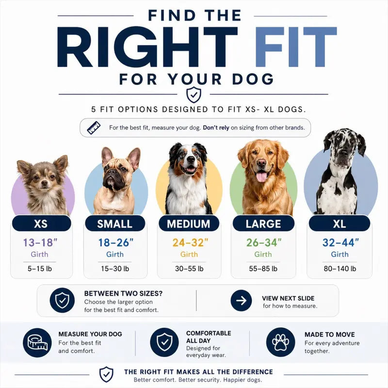 No-Pull Dog Harness with Side Leash Rings for Gentle Walk Control