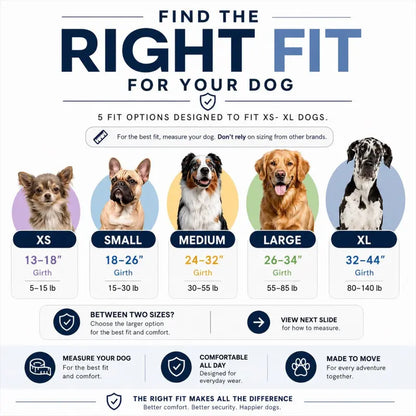 No-Pull Dog Harness with Side Leash Rings for Gentle Walk Control