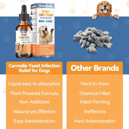 [🎁 BUY 1 GET 1 FREE] Advanced Natural Dog Yeast & Itch Relief Drops