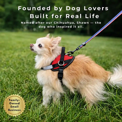 No-Pull Dog Harness with Side Leash Rings for Gentle Walk Control