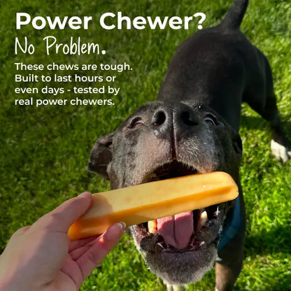 Ultimate Himalayan Yak Cheese Chews - 100% Natural & Ultra Long-Lasting Dog Treat