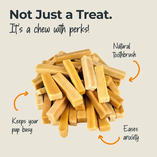 Ultimate Himalayan Yak Cheese Chews - 100% Natural & Ultra Long-Lasting Dog Treat