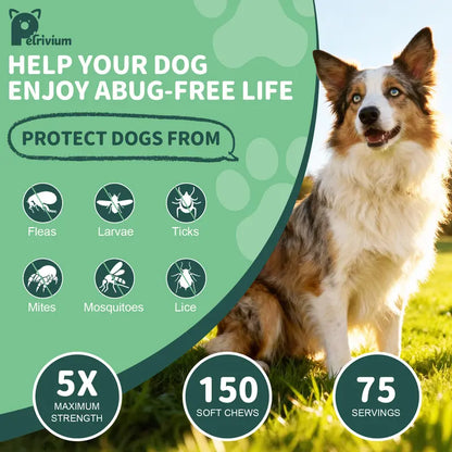 Natural Flea, Tick & Mosquito Defense Chews for Dogs