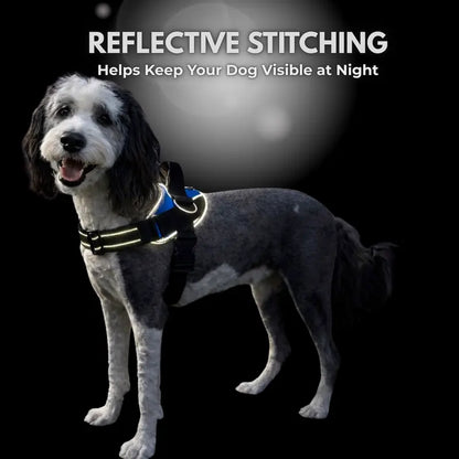 No-Pull Dog Harness with Side Leash Rings for Gentle Walk Control