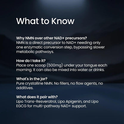 Instant NAD+ Elevation - Fast-Dissolving Pure NMN Powder For Peak Daily Vitality