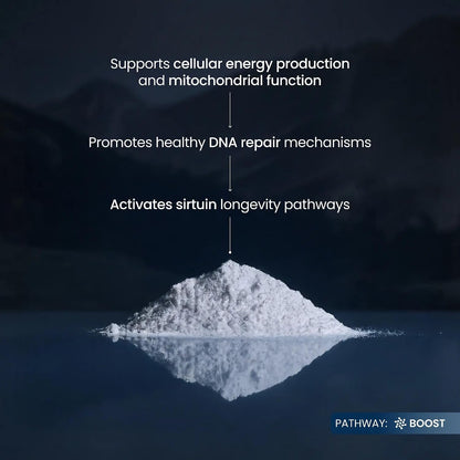 Instant NAD+ Elevation - Fast-Dissolving Pure NMN Powder For Peak Daily Vitality