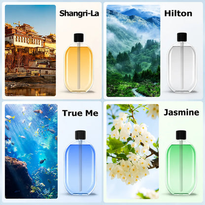 Wall-mounted aroma diffuser with floral essential oil set