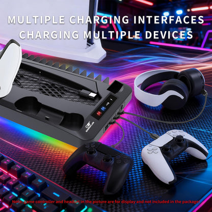 Universal Vertical Cooling Stand & Dual Fast Charging Station for P5, P5 Slim & P5 Pro