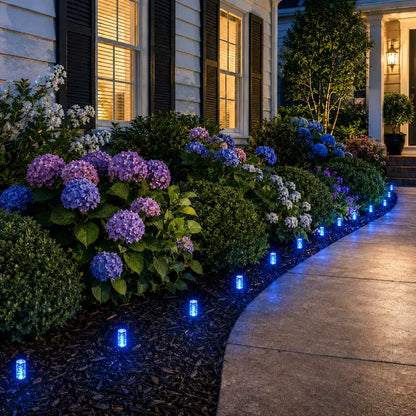 D452 source product gallery